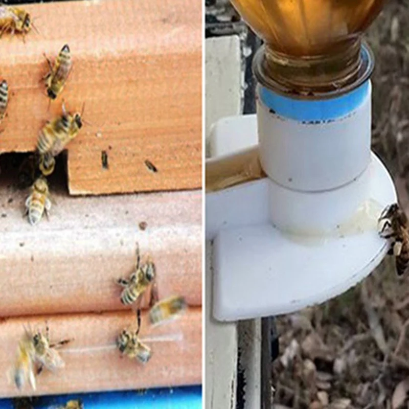 Dagtear Bee Feeder Bee Water Feeder Bee Plastic Bee Water Feeder Beehive Drinking Bowl Bee Keeping Equipment Beekeeping Tool