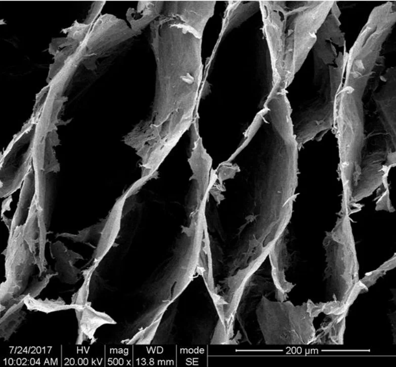 UltralightGrapheneAerogelHighlyElasticGrapheneAerogelDopedCNT