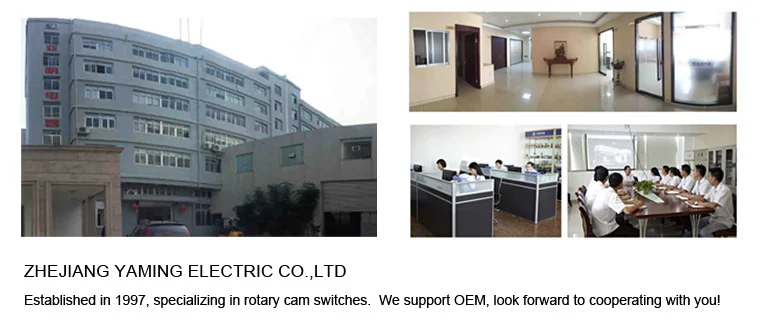 Universal Mudança Interruptor de Came Cadeado 2