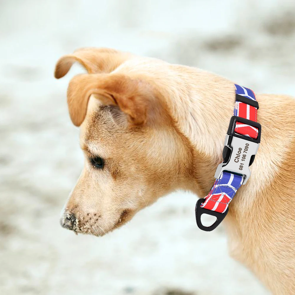 hemp dog collars Cute Custom Dog Collar Leash Personalized Fruit Print Nylon Dog Collar Lead Engraved Name ID For Small Medium Large Dog Pitbull custom dog collars