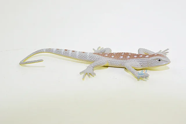 12pcs Model lizard toy Reptile Simulation plastic forest wild animal model toys ornaments PVC figurine home decor Gift For Kids 5