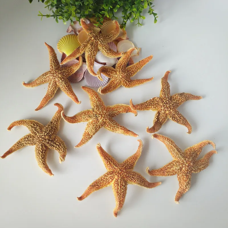 

5pcs real sea star Natural Starfish Thorns Sea Starfish Dried Specimens Beidaihe Shell Mediterranean Style Wedding Decoration