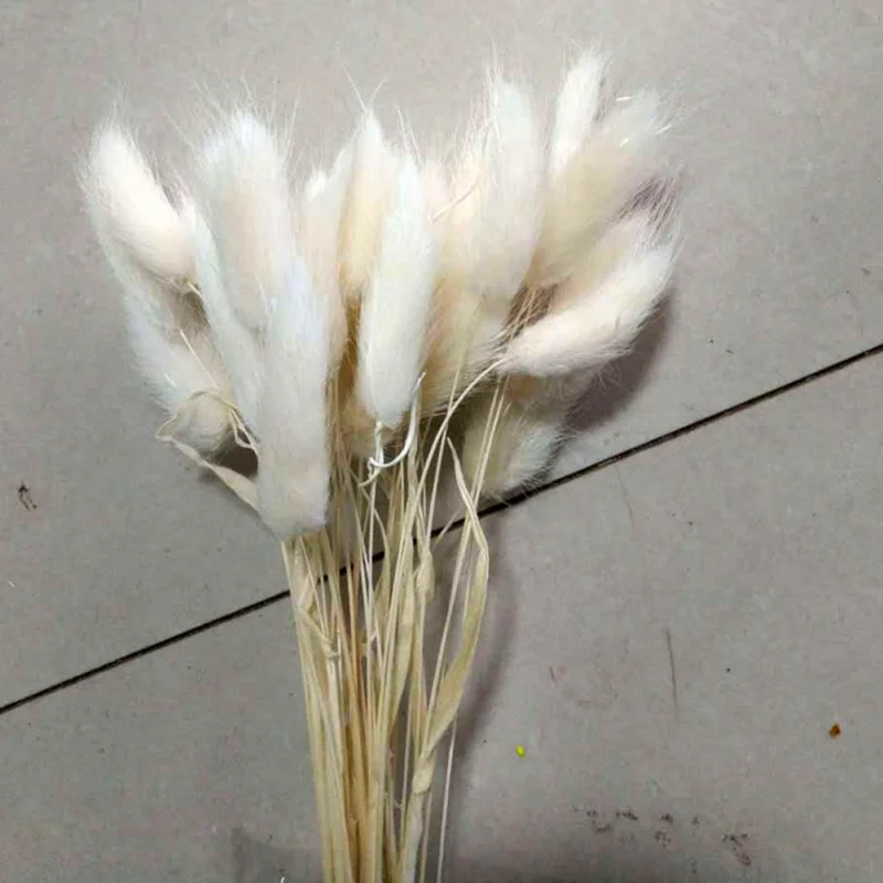 OA0540W