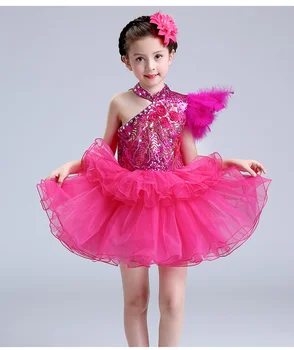 

Ballet Leotards for Girls Children's Costume Girl Princess Dress Sequined Performance Dress Girl Dance Gauze Dress