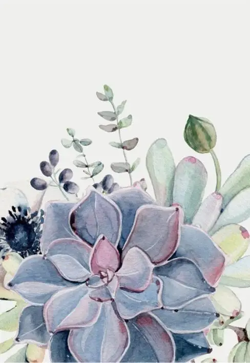 36020190327164035432