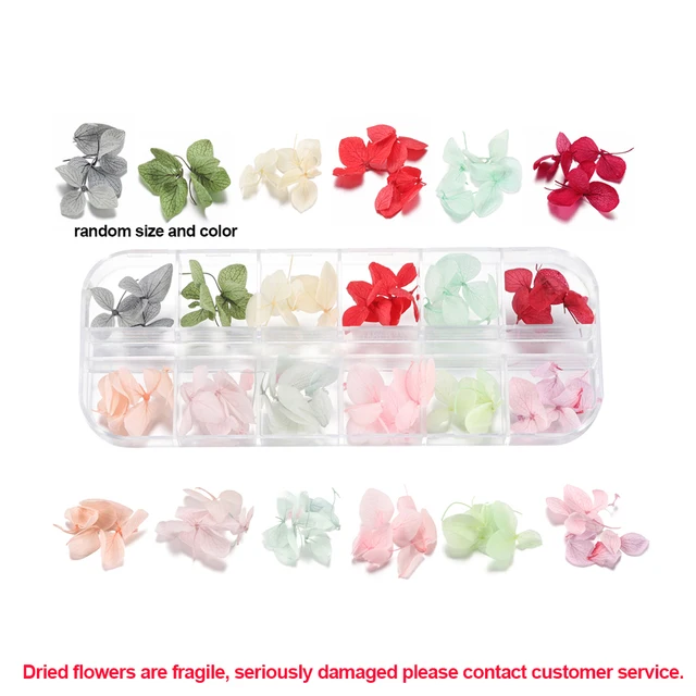 1Box Dried Flowers Dry Plants for Rsein Molds Fillings Epoxy Resin Pendant Tweezers Jewelry Making Craft DIY Nail Art Decoration Style27