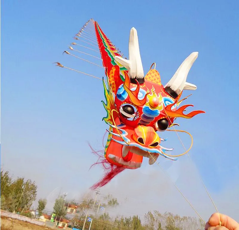 free shipping 20m big kite chinese traditional dragon kite line fly ferramenta paper kite ladybug huge kite kevlar 3d kite owl 2