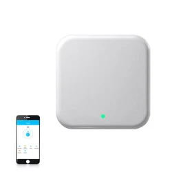 TTLock Gateway Hub – dispositif de verrouillage de l'application, passerelle G2, Bluetooth vers WiFi, convertisseur pour télécommande, serrure intelligente 
