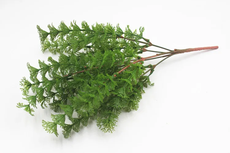 11929508459_1338463617