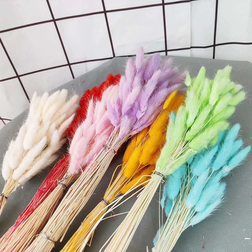 

60 Head Bouquet Rabbit Tail Grass Natural Dried Flowers Wedding Layout Home Decoration Real Flower Setaria Plants Bouquet