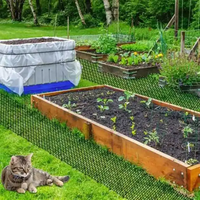 Kerti Macska Cat Scat Mat-Macska Kutya Visszataszító Szőnyeg-Sztripszek Tartják A Macskát Elrettentő Biztonságos Műanyag Tüskék Tüntetett Kisállat Kellékek - Image 6