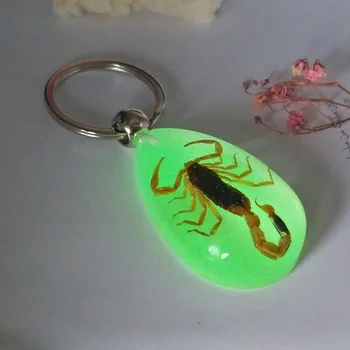 

Luminous Scorpion Keychain - New Luminous Product Real Crab and Scorpion Key Chain bag Car key ring #17067