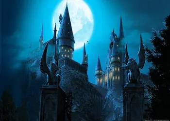 

Jmine Div 5D Hogwarts magic School castle Full Diamond Painting cross stitch kits art Cartoon 3D paint by diamonds