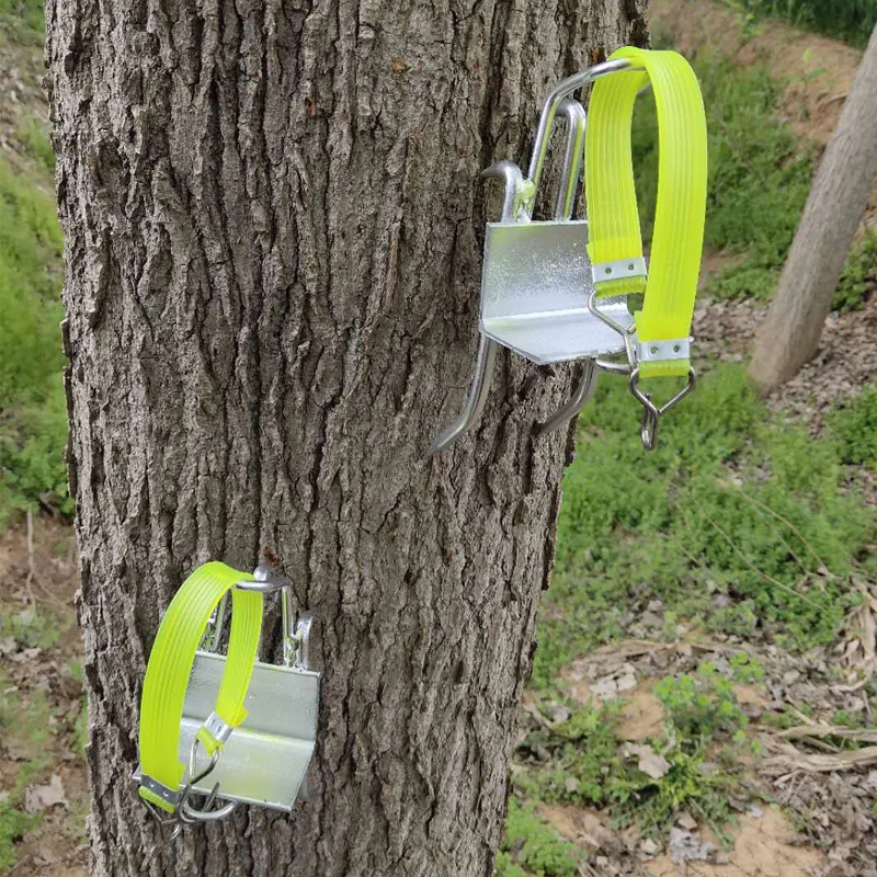 

Tree Climbing Tool Pole Climbing Spikes Stainless Steel Tree Shoes 5 Claw Field Spurs Spikes Preservative Safe Clamber