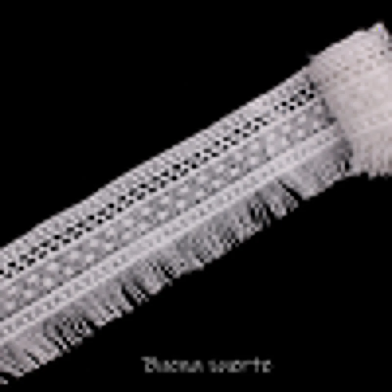 Buena Suerte New 5.5cm Tassel Lace White/Black High Quality 2018 Trims Fabric DIY Sewing Handmade Materials Accessories TM080 | Дом и сад