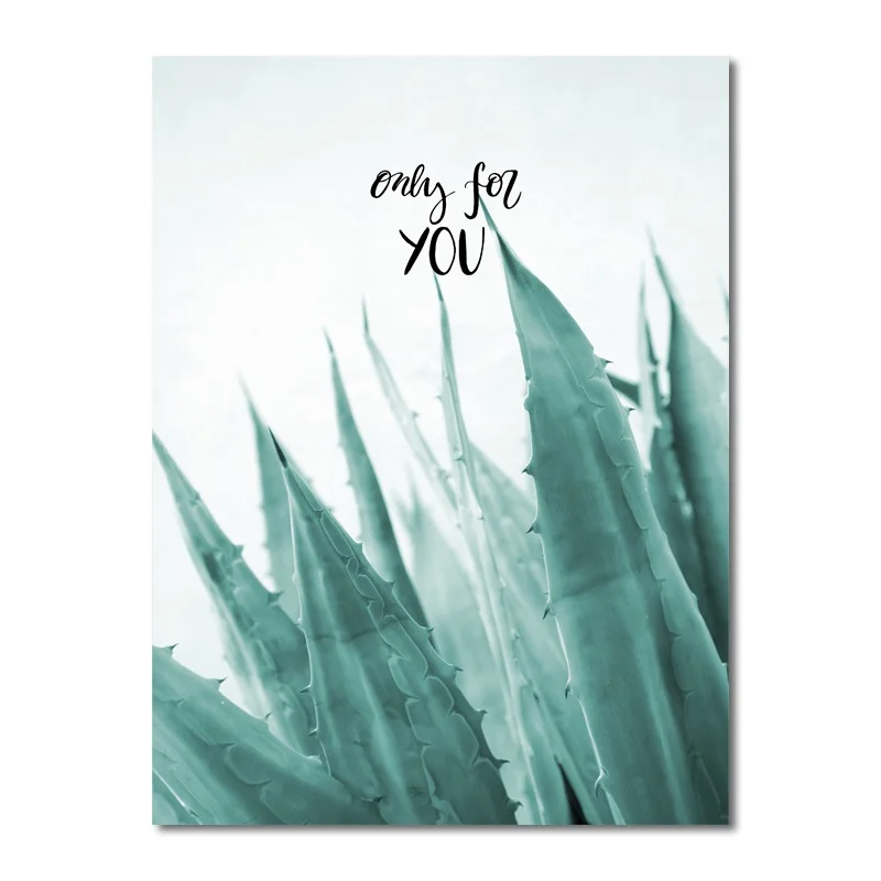 Green-Plant-Aloe-Cactus-Pineapple-Small-Fresh-Art-Painting-Living-Room-Sofa-Background-Wall-Hanging-Picture (8)