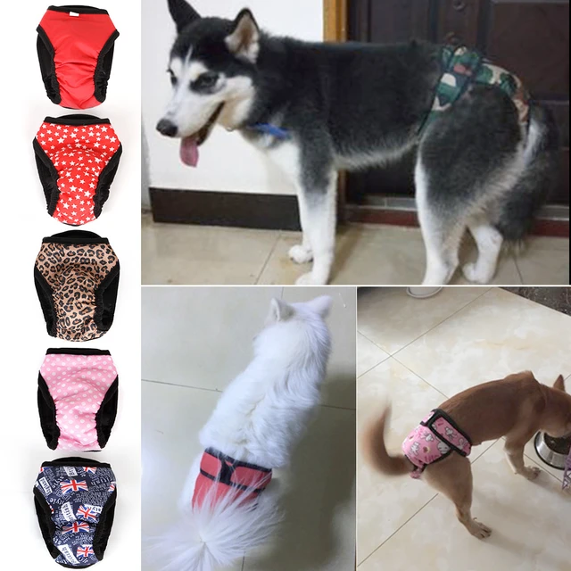 Menstruation Underwear Briefs Jumpsuit, Dog Physiological Pants
