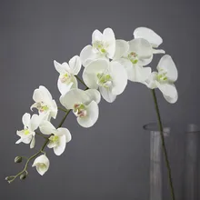 

Large Long Stem 11 Heads Silk Orchid Phalaenopsis Flowers Wedding Floral Bouquet Artificial Plants Fake Flowers Home Decor tlsm