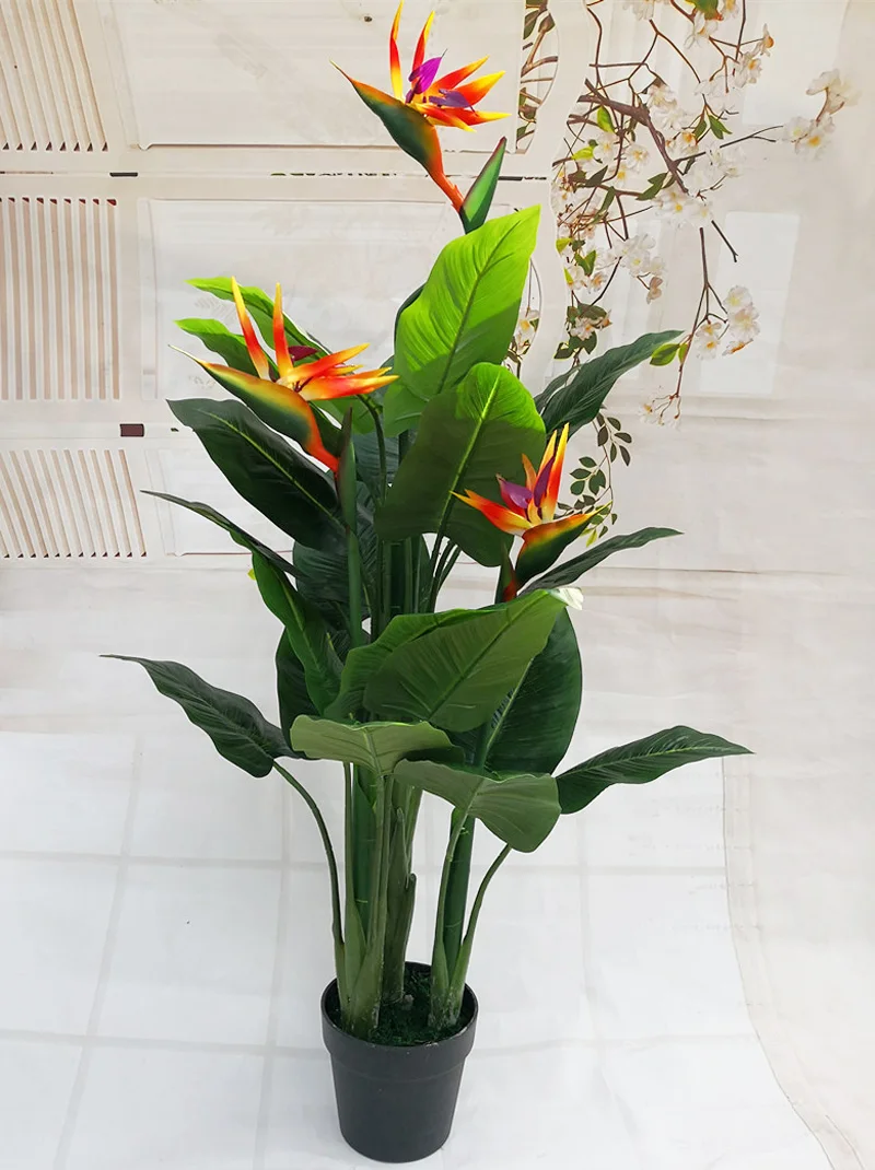 11079916805_356759457