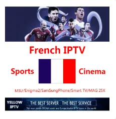 1 Year IPTV No Box X96 с 1 года IPTV французский бельгийский IPTV box арабский IPTV box Linux система IPTV box телеприставка - Цвет: 1 Year IPTV No Box