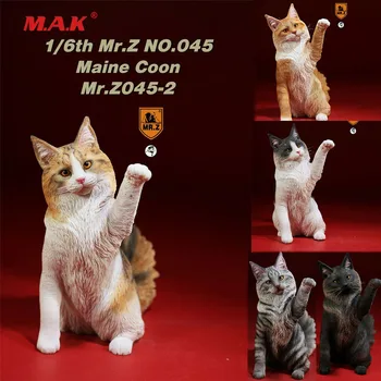 

1/6 Mr.Z MRZ045 Maine Coon Resin Cat Animal Pet Collectible Statue Model Toys for 12'' animal model accessory in stock