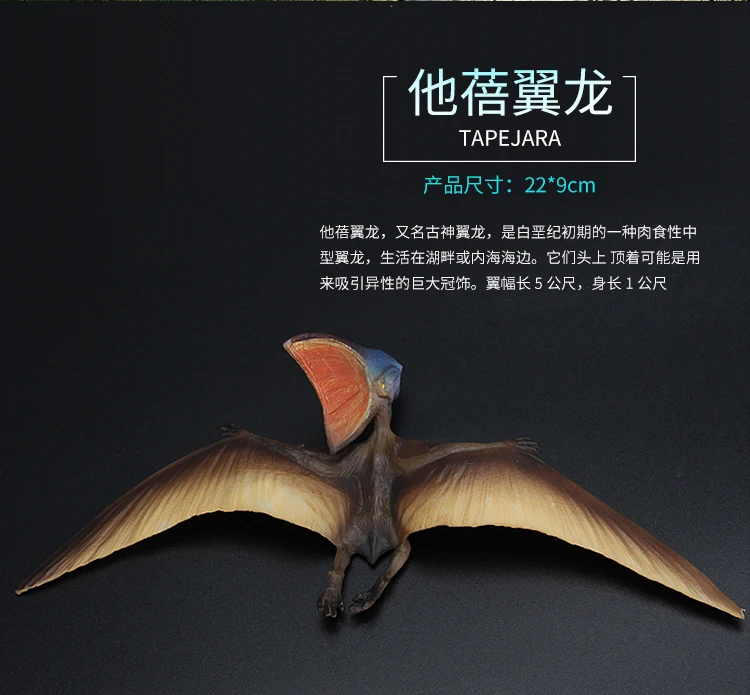 Большой размер модель Птерозавр Игрушечная модель He Bei GIRL'S мягкий Silcone pterodaktyl Детский Мужской Aeolus не материковый Китай