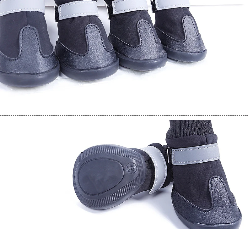 2634691515_448850444