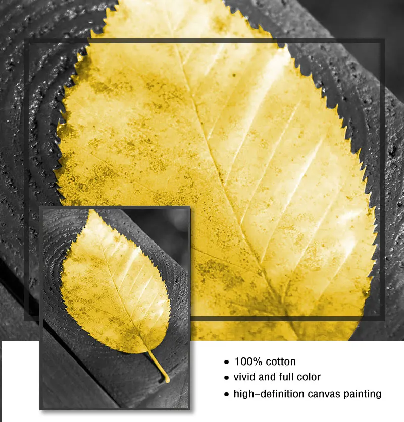 Black and White Nordic Landscape Canvas Set