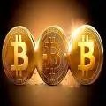 Bitmain Blockchain Miners Store