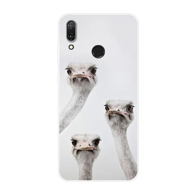 11376016047_1565691800