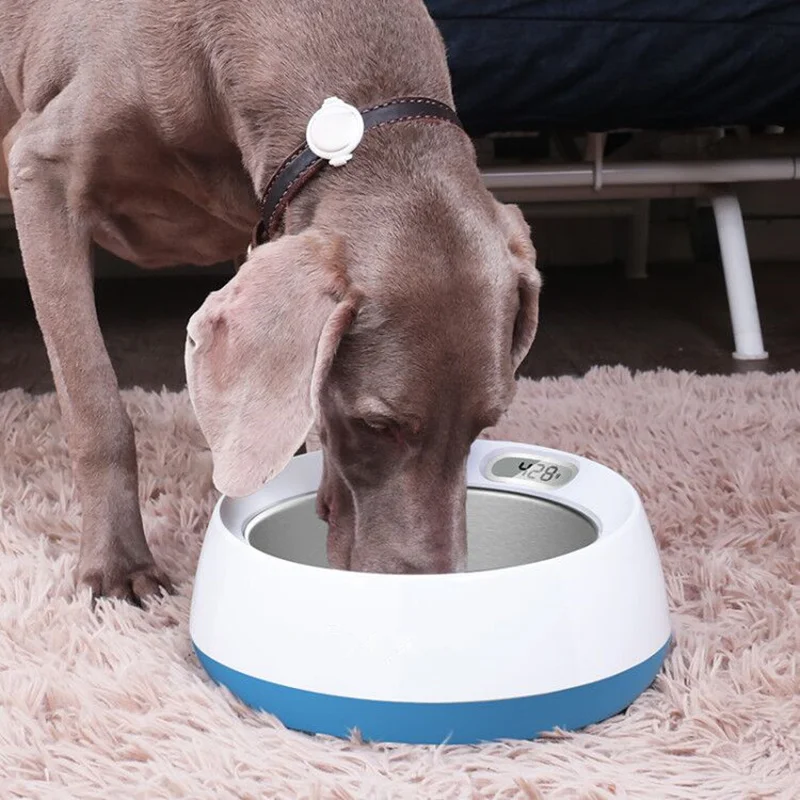 Антибактериальный ЖК-дисплей из нержавеющей стали вес миска для корма собак