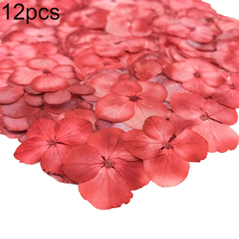 12Pcs Natural Pressed Decorative Dried Flowers Dried Flower Petals Artificial Flowers DIY Phone Case Party Wedding Decoration