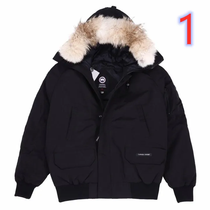 

2019 new down jacket
