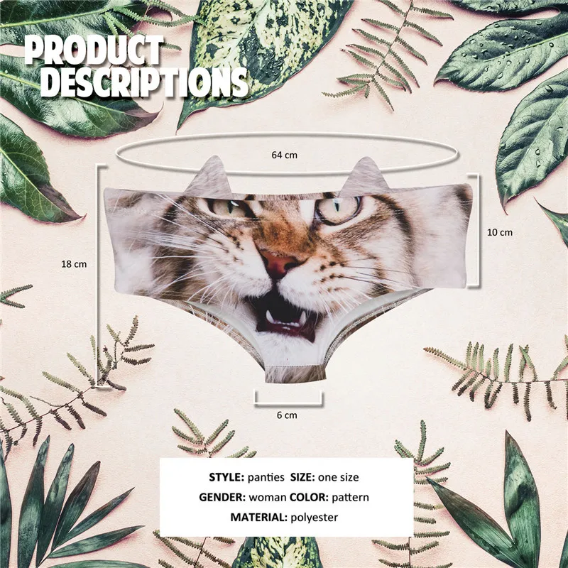 46728 maine coon (0)