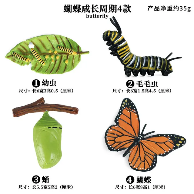 Kids Cognitive Educational Toys Simulation Animal Insect Model Mini Animal Butterfly Growth Cycle Ornaments 4