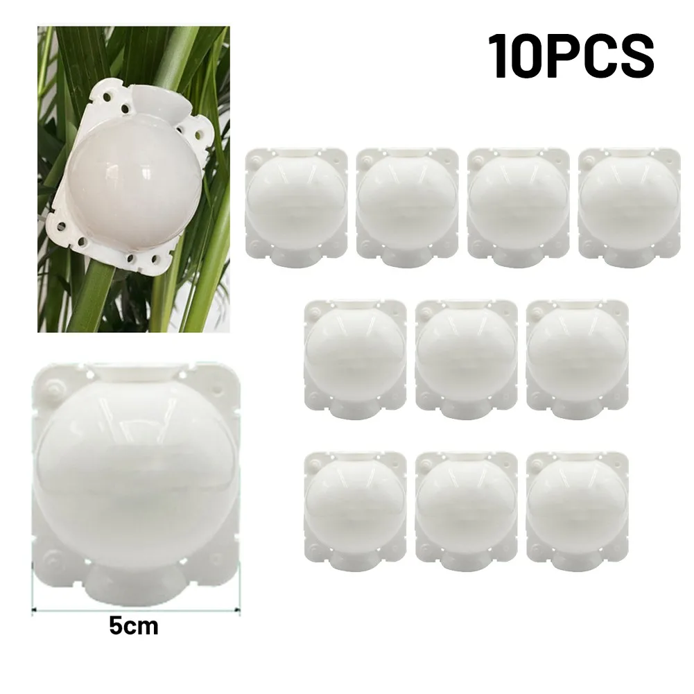 10pcs Plant Rooting Equipment High Pressure Propagation Ball Garden Graft Box Root Growing Box 5cm 8cm Transparent