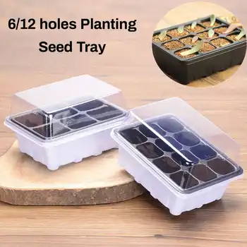 

Plastic Breathable Planting Tray Holes Plastic Sprout Plate Germination Box Nursery Pots Grow Base Lids With Clear Cover