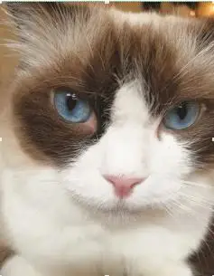 360截图20191226205349037