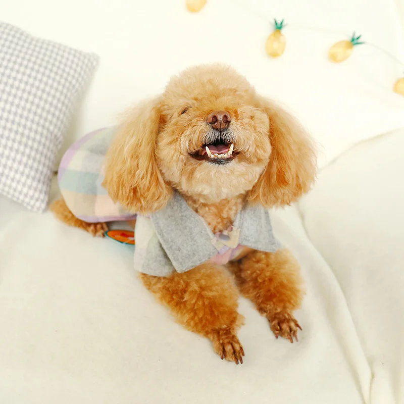 PETCIECLE Pet платье плюшевый Померанский Бишон собака Удобная осень зима кукла воротник цвет Квадратная юбка