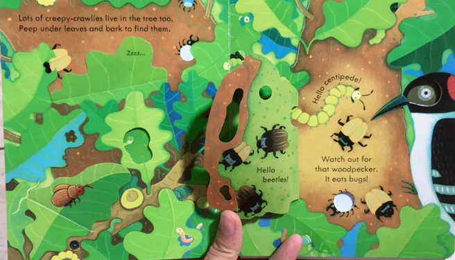 Usborne книги открытые внутри дерева английские развивающие 3d книжки с откидным