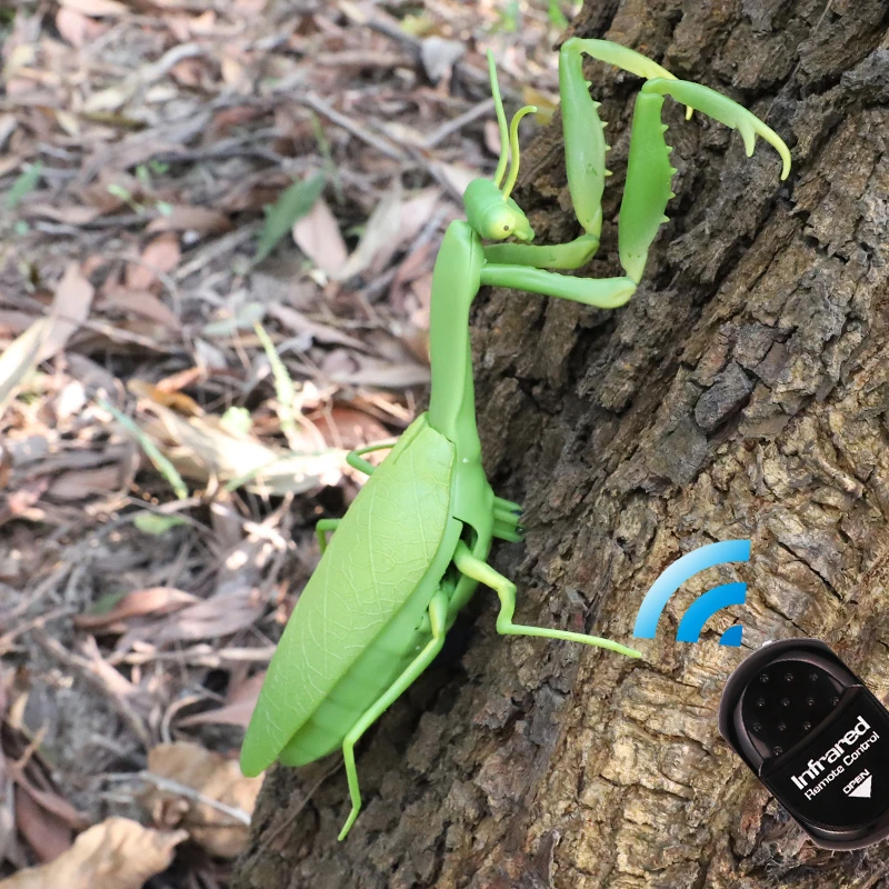 

Infrared RC Remote Control Realistic Mini Mantis Insect Scary Trick Toy Simulation Animal Funny Prank Kids For Children Toy Gift