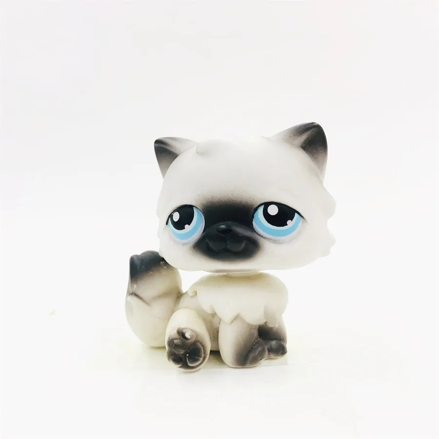 Серебристый Новая игрушечная кошка, игрушка, черный, розовый, милый, с круглым лицом, кот, прекрасный Petshop, фигурки животных, маленькие куклы, игрушки - Цвет: Серебристый