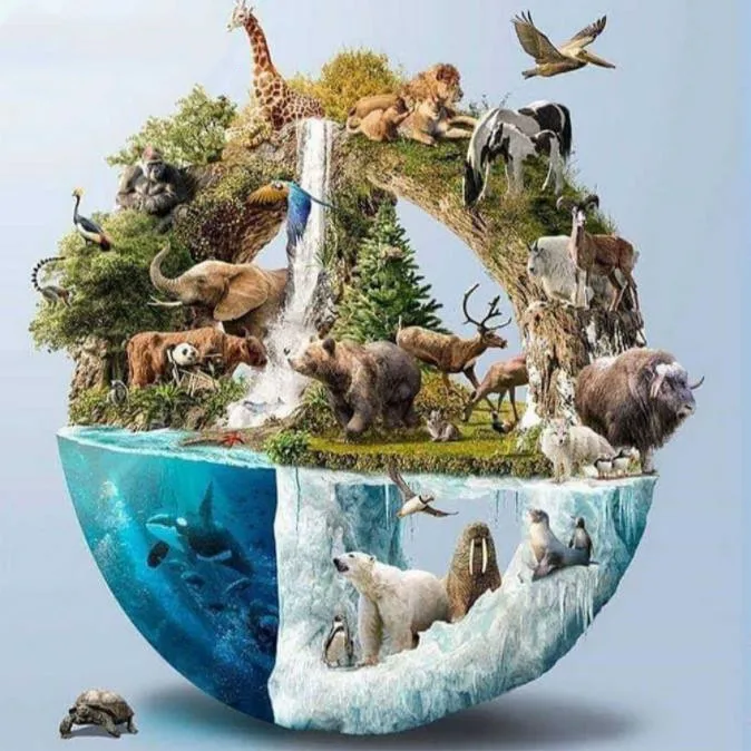 Алмазная вышивка 5D &quotсделай сам&quot квадратные и круглые алмазы с изображением