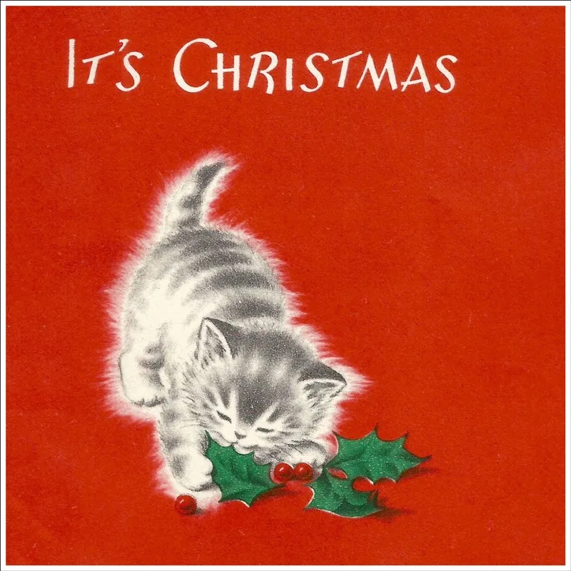 Merry Christmas печатная Подушка с рисунком кошки Модель декоративных подушек для дивана подушка 45x45 см домашний декор