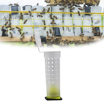 

10Pcs Beekeping Tool Nicot Queen Rearing Cupkits Cages Bees Roller Cage Holder Fixtures Apiculture Equipment