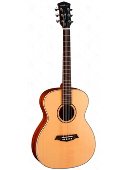 

S22-gt acoustic guitar, with cover, gloss, Parkwood
