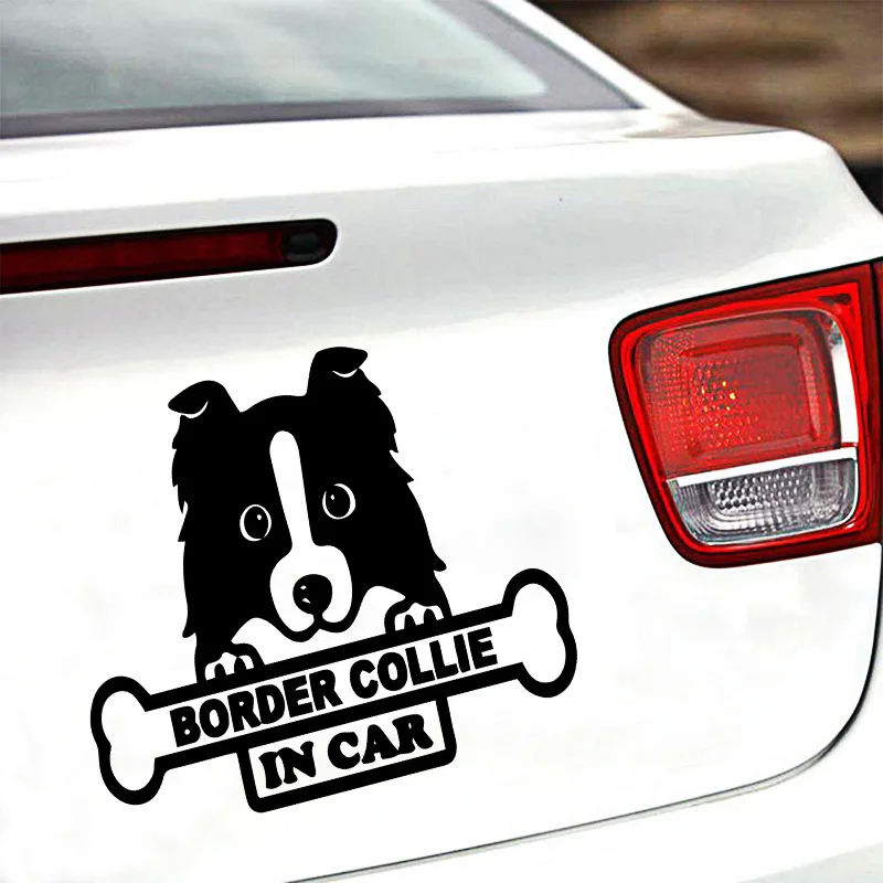 

Cute Border Collie In Car Vinyl Sticker Auto Laptop Cars Door And Stickers Hood Auto Assessoires