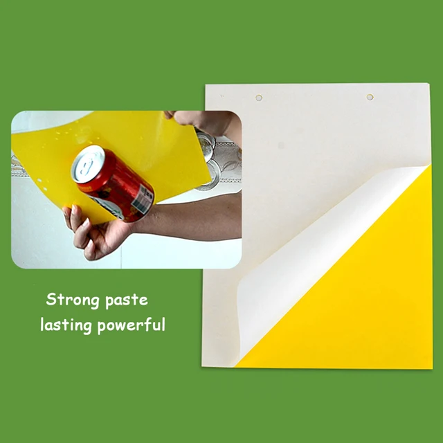 10Db Sárga Pillangó Alakú Matrica Kétoldalas Rovarcsapda Ragasztó Ragacsos Papír Növényi Virágok És Zöldségek Szúnyog - Image 6