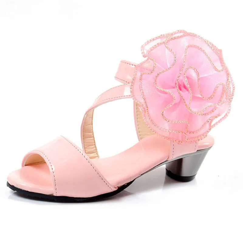 10553179520_156625162