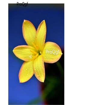 

ProQgf 10Pcs A Set Rainlily Flower Bulb yellow huangse